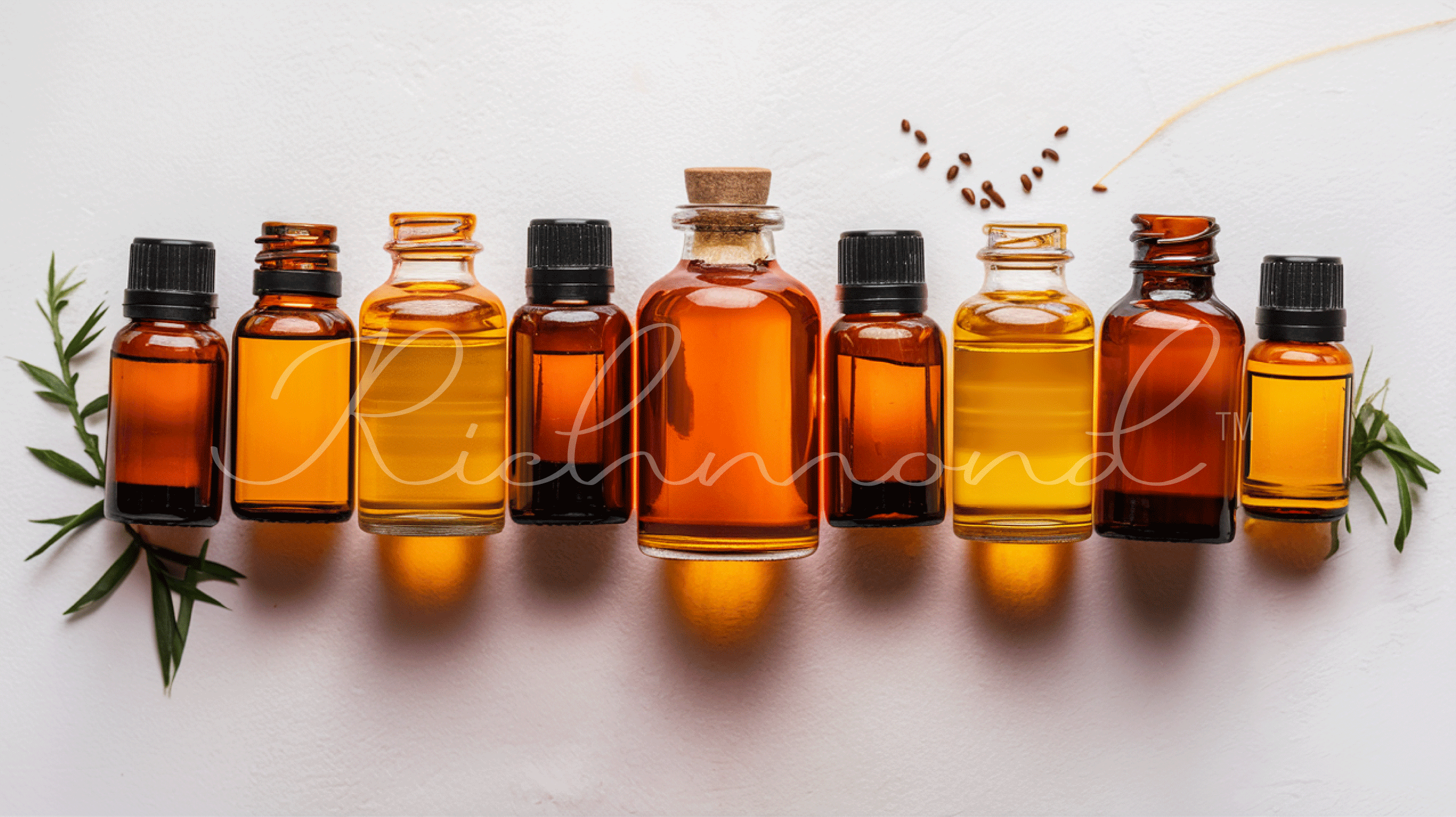 The Art of Perfume Crafting: Tradition Meets Innovation